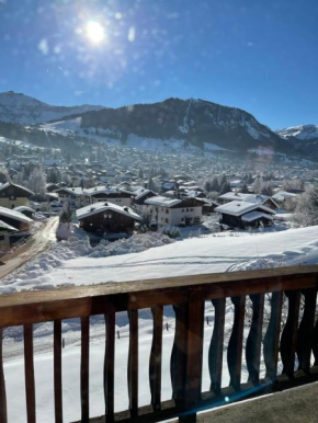chalet Reine des près 1